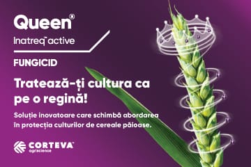 Corteva Queen