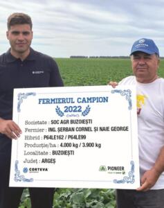 Ce hibrizi de floarea-soarelui au performat în 2022. Ce hibrizi aleg, campania aceasta, fermierii 13 floarea-soarelui