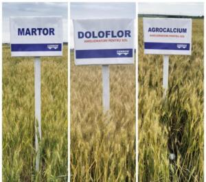 Necesitatea folosirii produselor DOLOFLOR și AGROCALCIUM pe solurile din România 23 doloflor