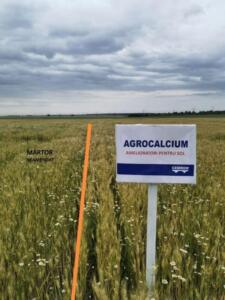 Necesitatea folosirii produselor DOLOFLOR și AGROCALCIUM pe solurile din România 21 doloflor