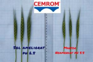Necesitatea folosirii produselor DOLOFLOR și AGROCALCIUM pe solurile din România 20 doloflor