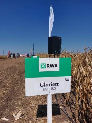 Producții ridicate, performanță agronomică și maximizarea profitului cu hibrizii de porumb de la RWA România 8 hibrizii de porumb