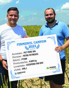 petre petrescu - productie de rapita