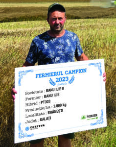campioni la rapiță