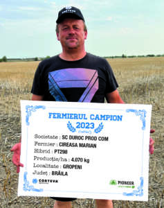 campioni la rapiță