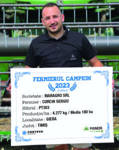 campioni la rapiță