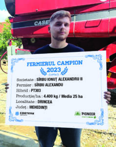 rapiță