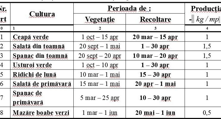 Recomandări: perioada de vegetație, recoltare și producția potențială a legumelor din grădină