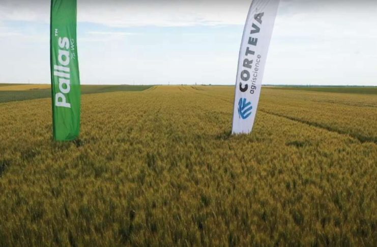 VIDEO PALLAS™ și FLORAMIX ™ – nicio șansă buruienilor din cultura de grâu