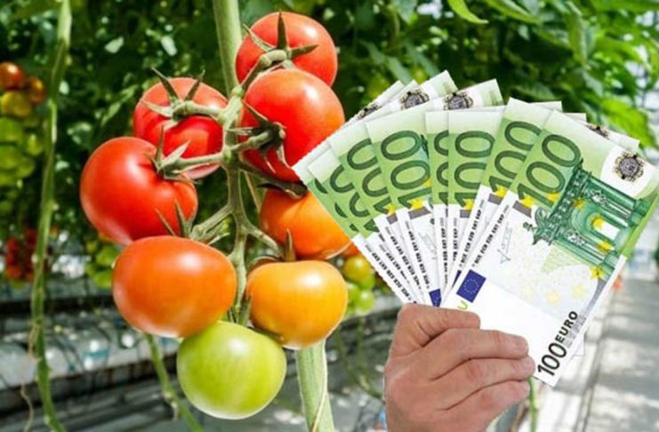 Noul ajutor de stat pentru legumicultori: Depuneți cererile până pe 12 aprilie!