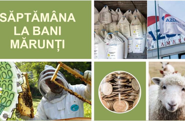 Săptămâna agricolă – vești bune pentru fermieri în perioada 5-11 februarie 2024