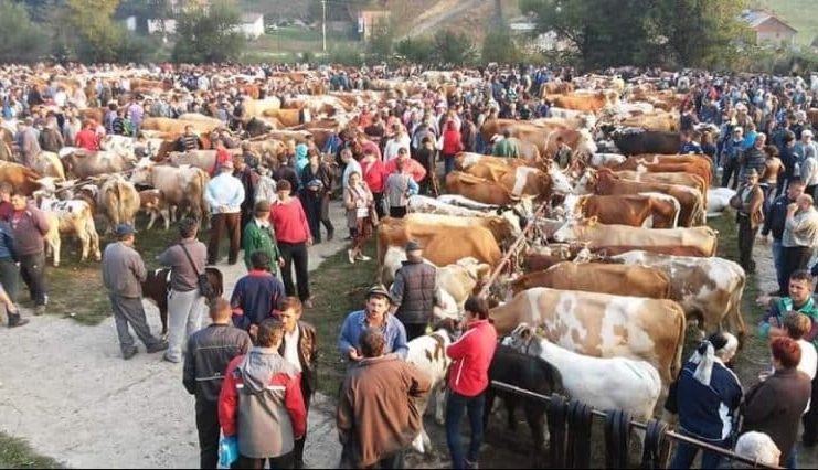 Vicepreședinte ANSVSA: Ne dorim redeschiderea târgurilor de animale în toate județele