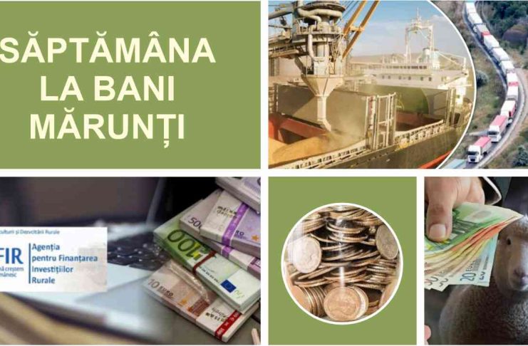 Săptămâna Agricolă- Noi anunțuri pentru sectorul zootehnic, finanțări pentru fermieri și vești noi despre prețul grâului în Portul Constanța, în perioada 25-31 martie 2024