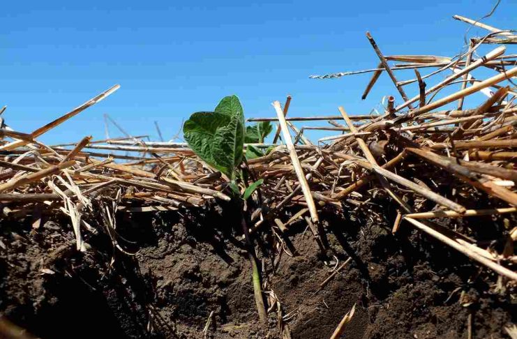 Soluțiile agricole stimulează eforturile de reducere a emisiilor de gaze cu efect de seră