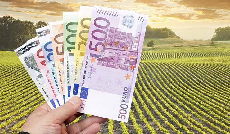 Când începe plata ajutoarelor de 100 de EURO pentru fermierii din vegetal și zootehnie