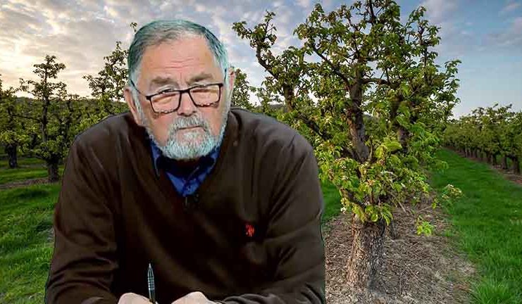 VIDEO Dr. Ing. Horia Ghibu – Când se fac următoarele tratamente la pomii fructiferi