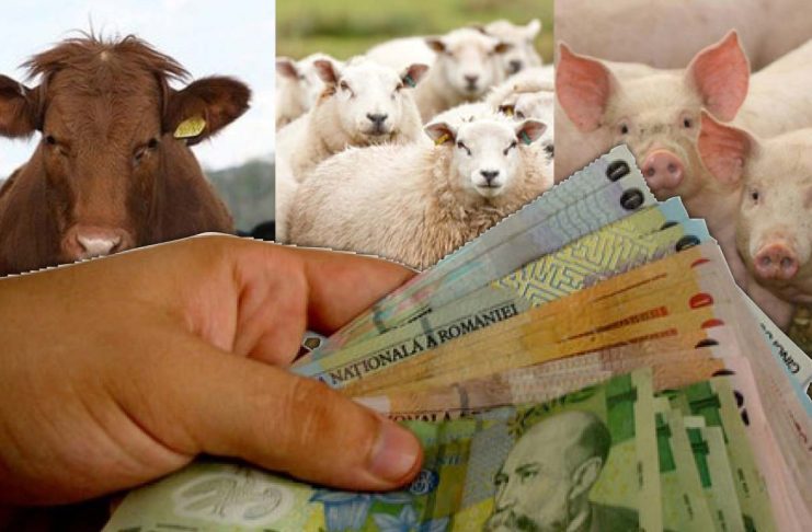 Crescătorii de animale, luați la țintă de Banca Mondială: Gata cu subvențiile!