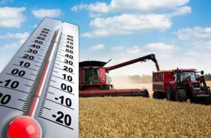 Prognoza meteo pe 4 săptămâni – Cum va fi vremea în timpul recoltatului