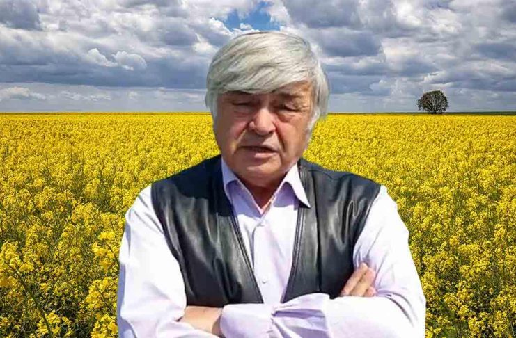 Cum arată rapița în ferma lui Dimitrie Muscă – 4,5 tone/hectar, producție sigură!