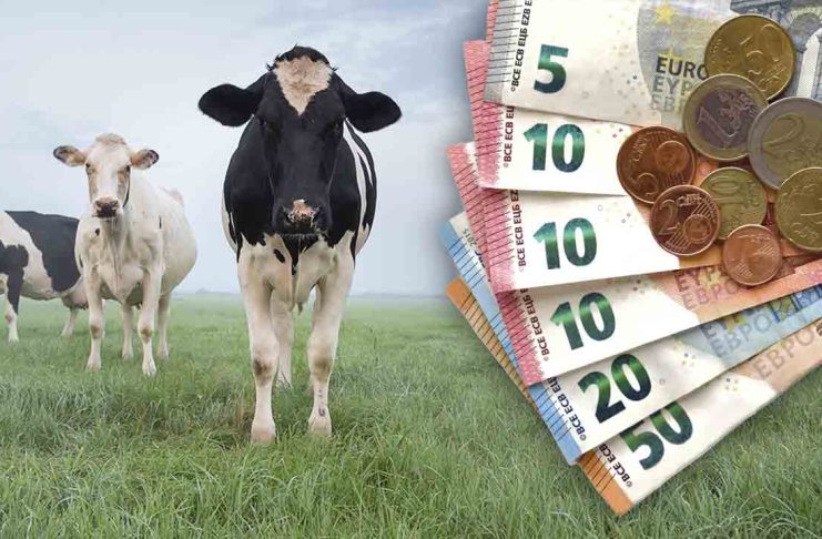 Probleme legate de subvenția de 100 EURO/UVM! ”O să fie un mare scandal”