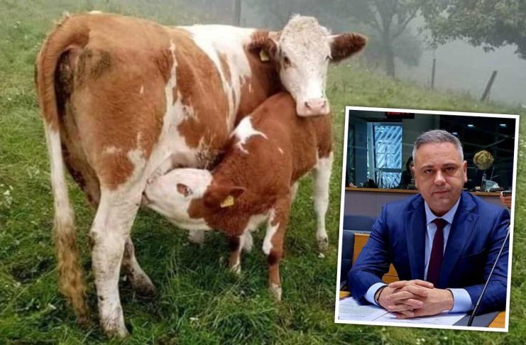 Obiectivul ministrului Florin Barbu la Luxemburg: achiziția de animale de reproducție pe cheltuiala UE!