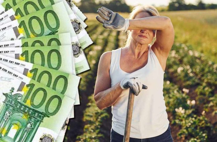 Ultimele plăți APIA – 2,27 milioane de euro! Ce fermieri și-au primit banii