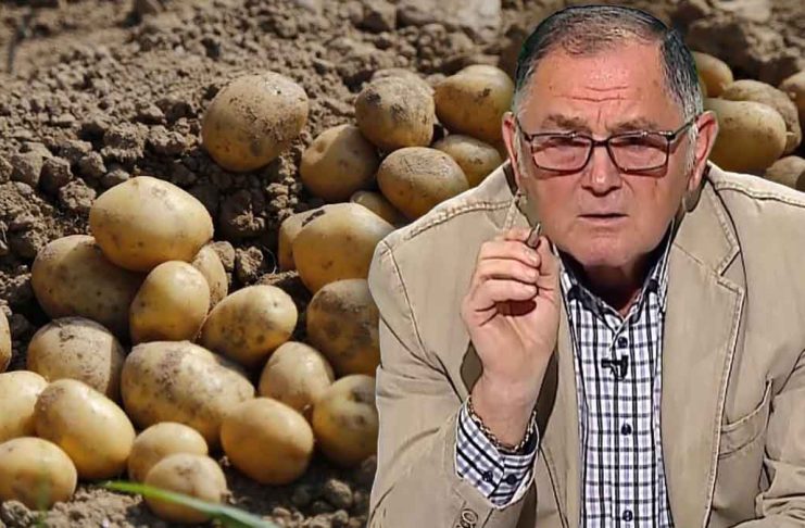 VIDEO Dr. Ing. Horia Ghibu – Rețeta de tratament pentru cultura de cartofi