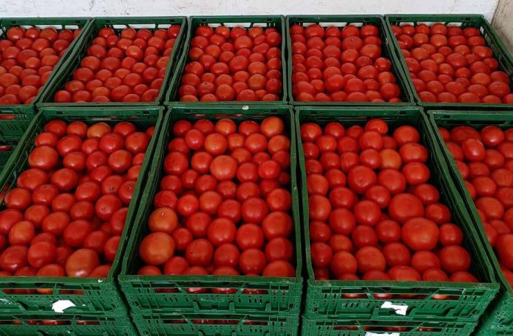 Roșii turcești, importate direct cu etichetă românească! Fermierii trag semnalul de alarmă