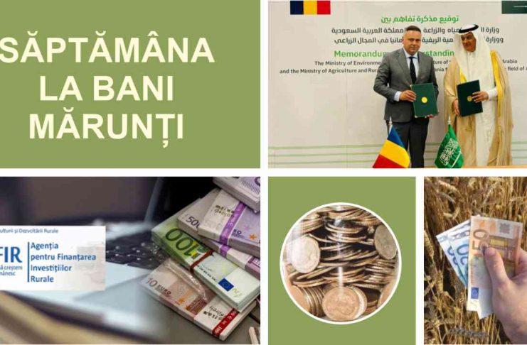 Săptămâna Agricolă – Contracte de finanțare de peste 26 milioane de euro, o nouă piață pentru fermieri și schimbări la prețul grâului, în perioada 1-7 iulie 2024