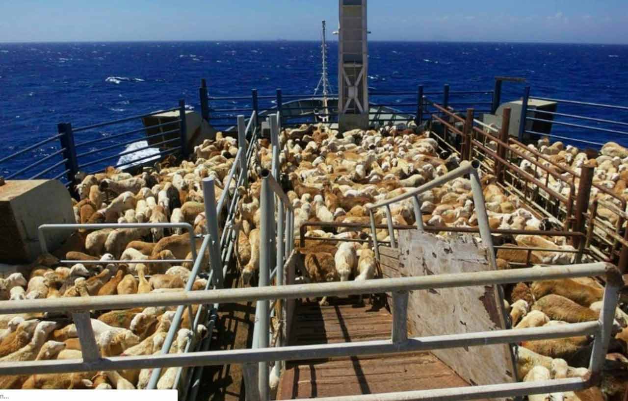 oi-vii-transport-maritim-1280