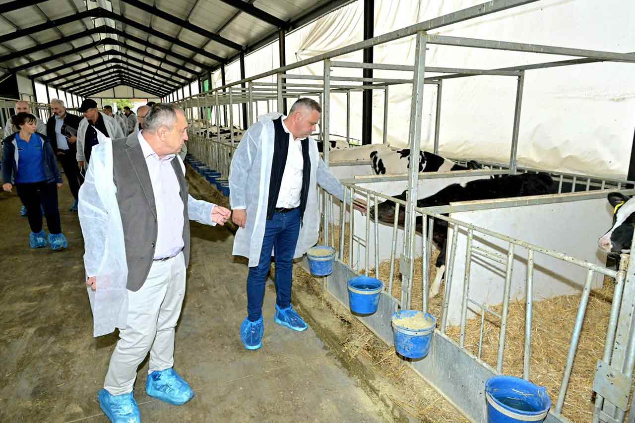 Florin-Barbu-ferma-de-vaci