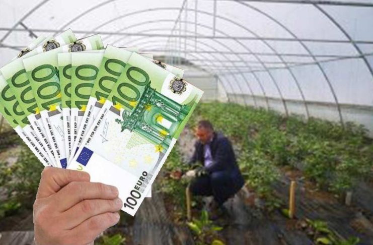Micii fermieri dau buzna la ajutorul de minimis de 1.000 de euro
