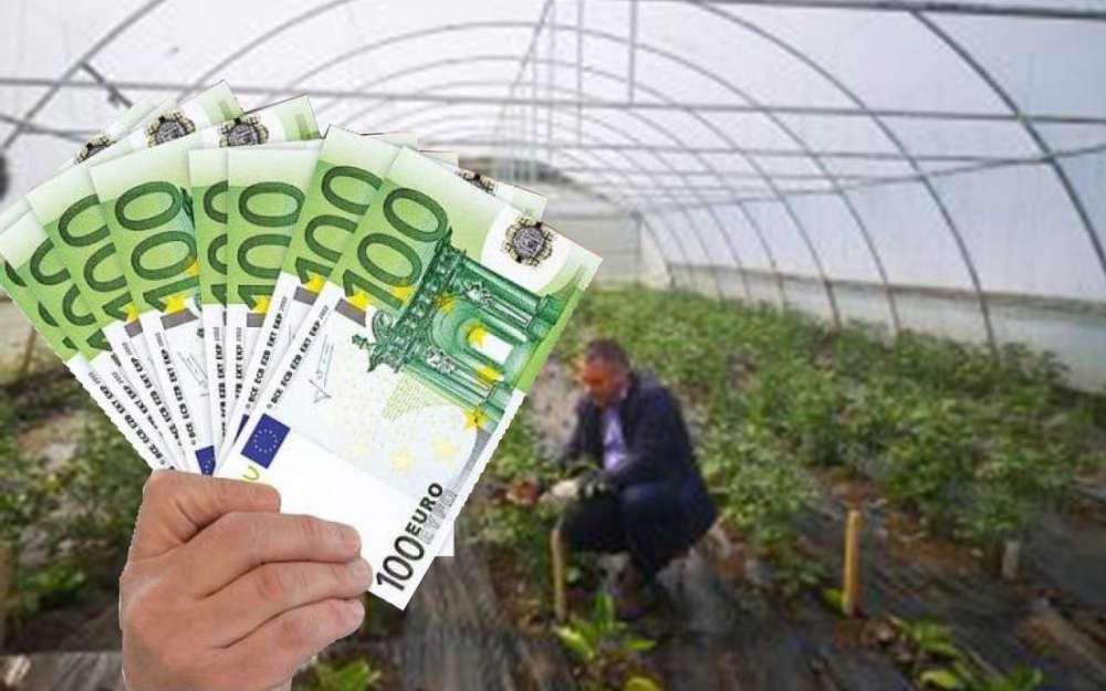 Ajutor-de-minimis-legumicultori