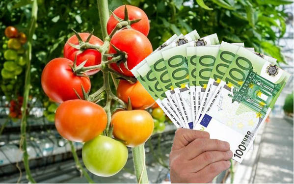 Bani-legume-spatii-protejate