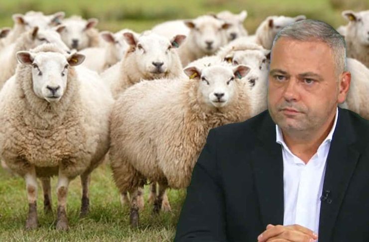 Sprijin de 42.000 de euro/beneficiar pentru crescătorii de ovine