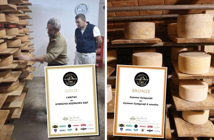 Aur și bronz pentru brânzeturi din Harghita și Bacău, la „World Cheese Awards 2024” – Portugalia