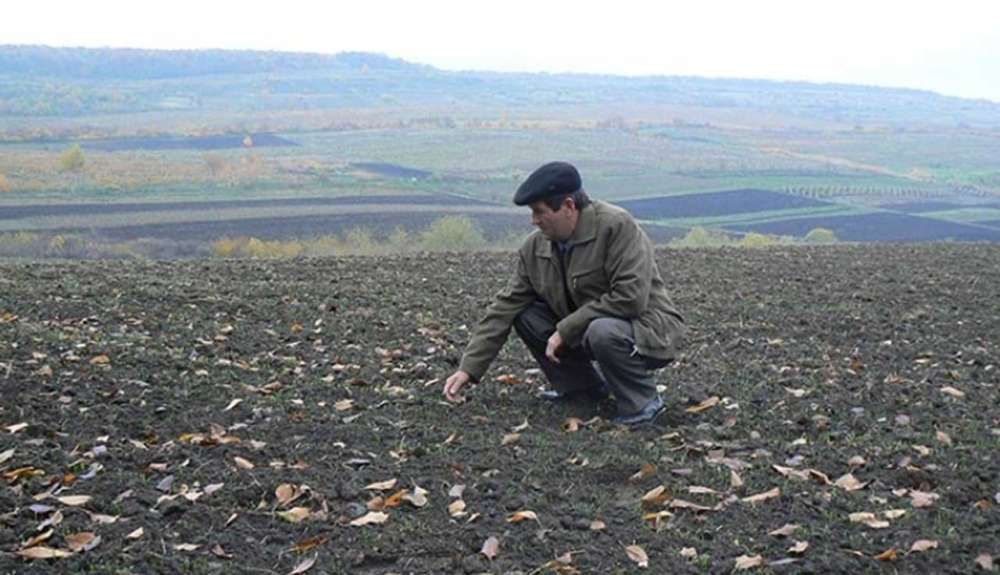 Prognoza agrometeo – Cum se prezintă culturile de toamnă 2 meteo, seceta pedologică, agrometeo