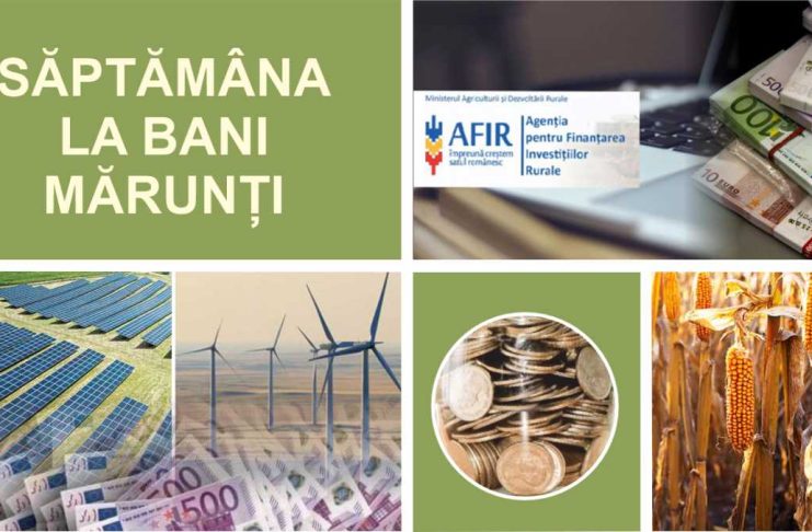 Săptămâna Agricolă – Situația porumbului autohton și finanțări pentru fermieri, în perioada 11-17 noiembrie 2024
