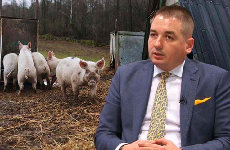 Se mai cresc porci în gospodărie? Noua strategie ANSVSA pentru sectorul suin