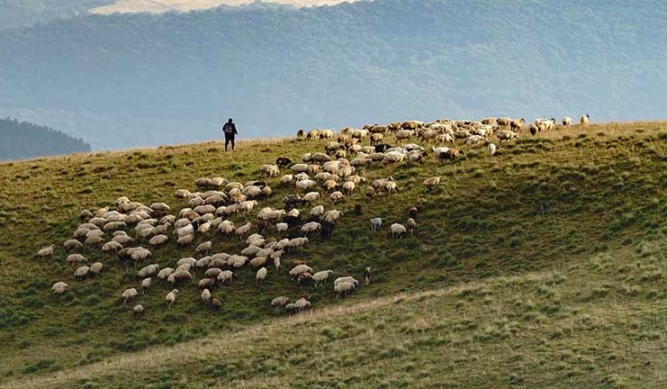 Ce vor chinezii să ia de la fermierii români