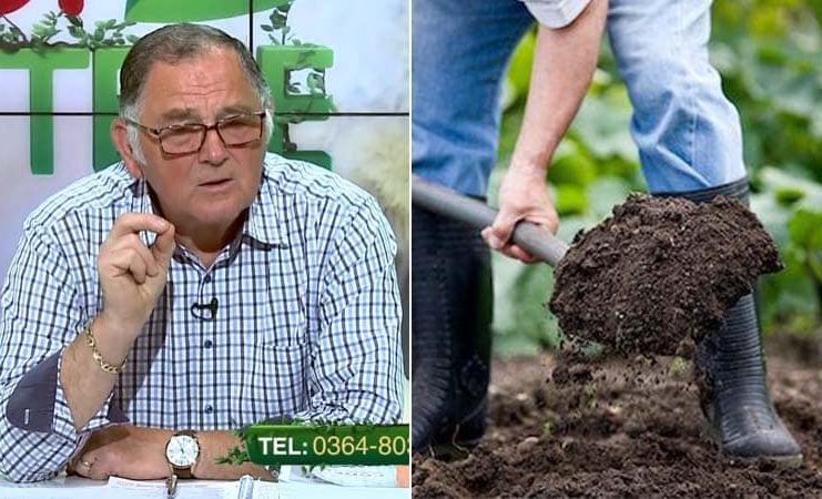 VIDEO Dr. Ing. Horia Ghibu – Cum se dezinfectează solul pentru înființarea noilor culturi