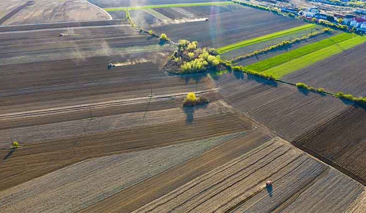 S-a întors norocul pentru fermierii din Dobrogea: ”Situația este extraordinară!”