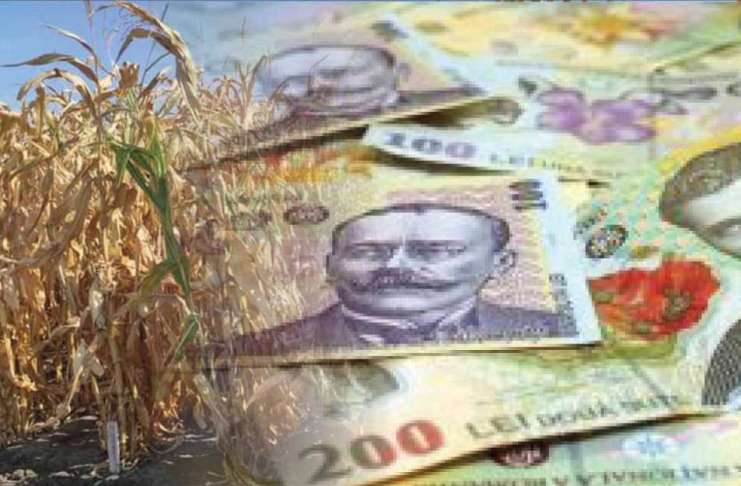 Despăgubiri pentru secetă de aproape 100 de milioane de lei
