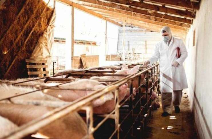 Veste bună pentru crescătorii de animale! Decizia de ULTIMĂ ORĂ de la MADR