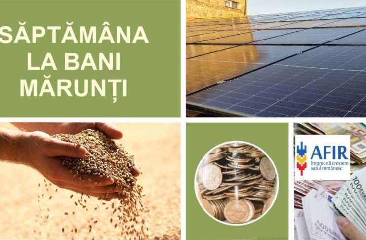 Săptămâna Agricolă – Noi precizări pentru programul Casa Verde Fotovoltaice, finanțări pentru tinerii fermieri și creșteri la prețul grâului, în perioada 9-15 decembrie 2024