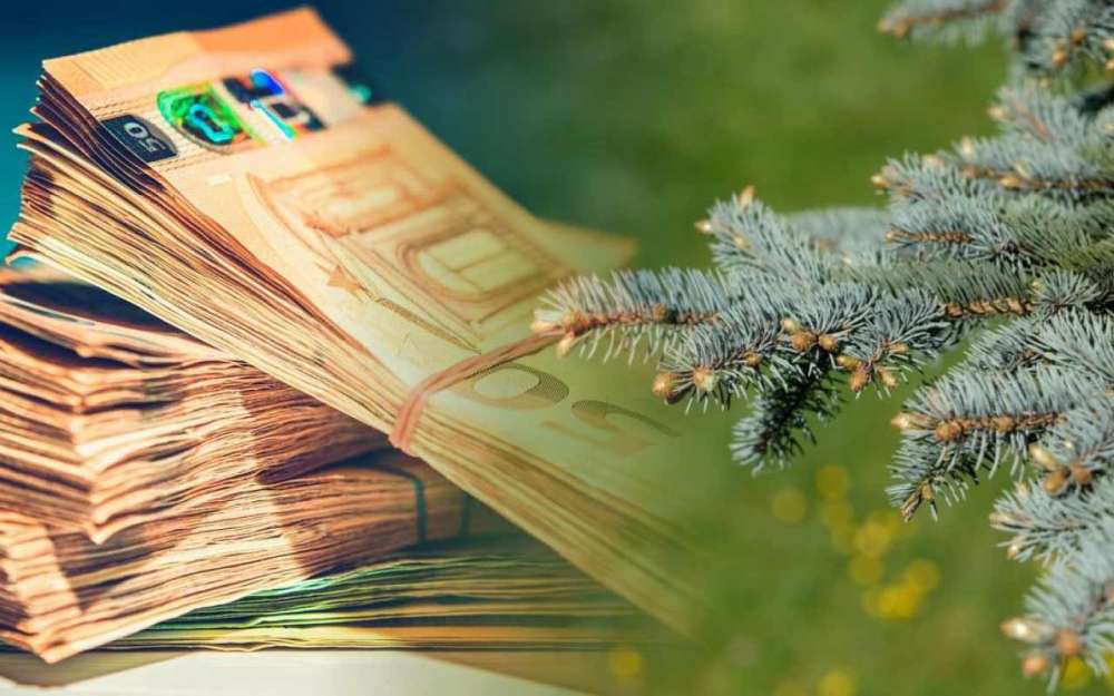 Decembrie vine cu bucurii pentru fermieri: 3 milioane de euro într-o zi! 2 subvenții decembrie