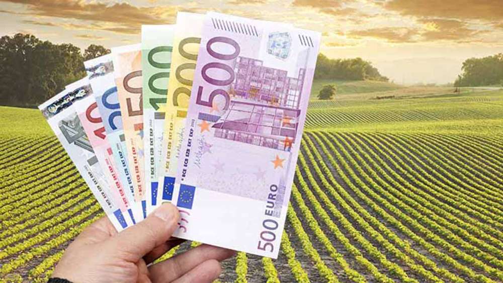 NOU! Cum se vor aplica normele de condiționalitate pentru subvențiile APIA de la 1 ianuarie 2 subventie APIA, normele de condiționalitate