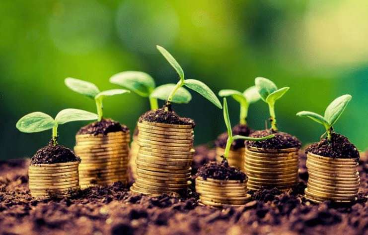Anunț OFICIAL: Subvenția de 200 EURO/hectar intră azi la plată!