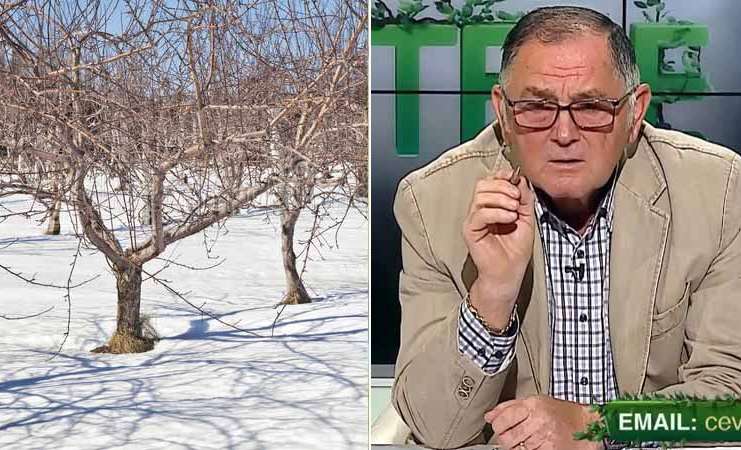 VIDEO Dr. Ing. Horia Ghibu – Tratament pentru pomii fructiferi în repaus vegetativ