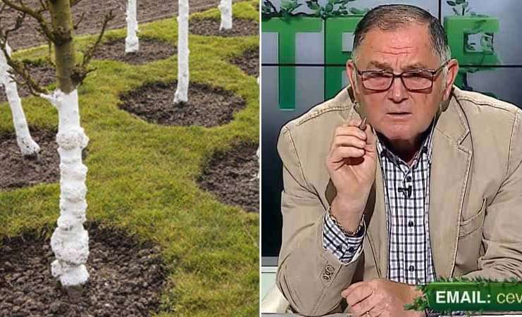 VIDEO Dr. Ing. Horia Ghibu – Greșeala pe care trebuie să o eviți la văruirea pomilor fructiferi
